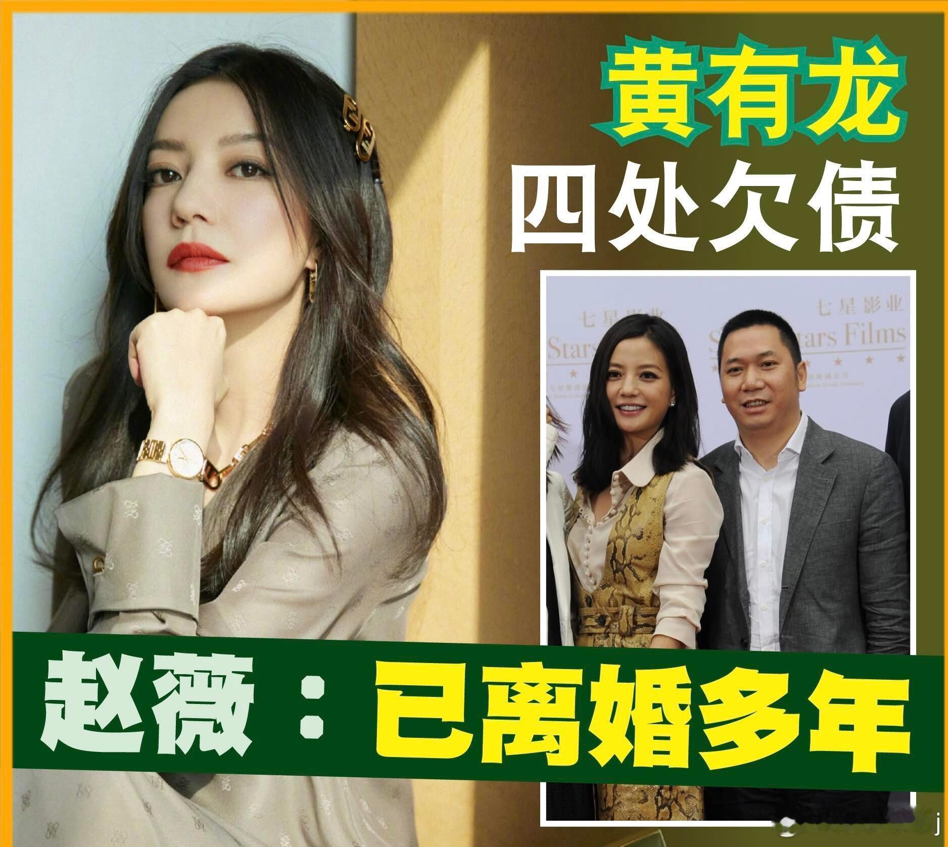 赵薇 黄有龙 相爱容易相处难❓还是夫妻本是同林鸟，大难来时各自飞❓ 