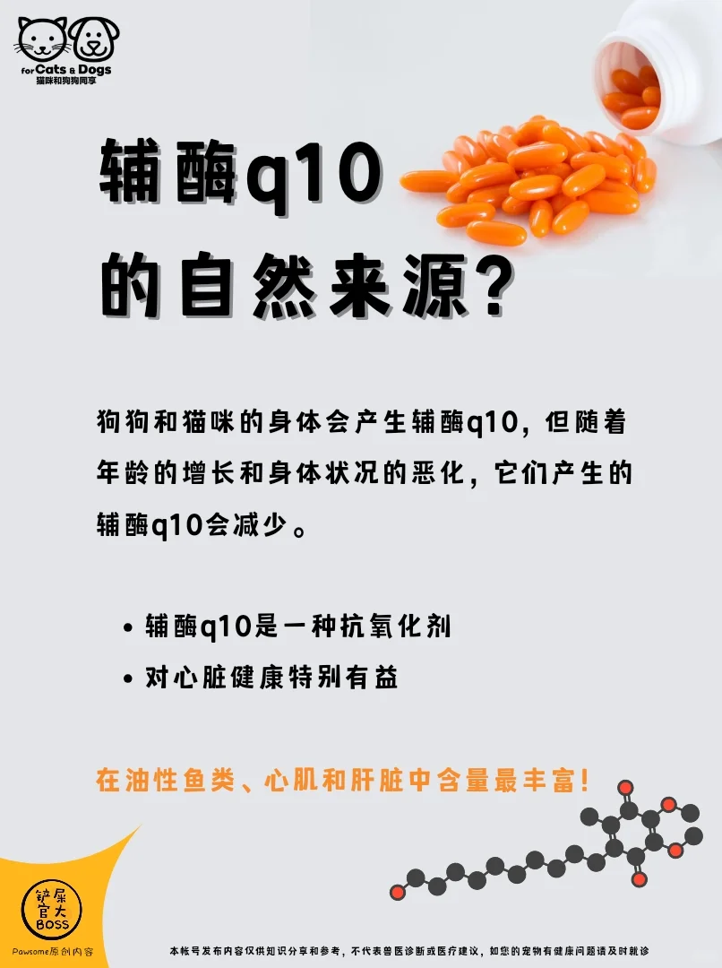 辅酶q10的自然来源?