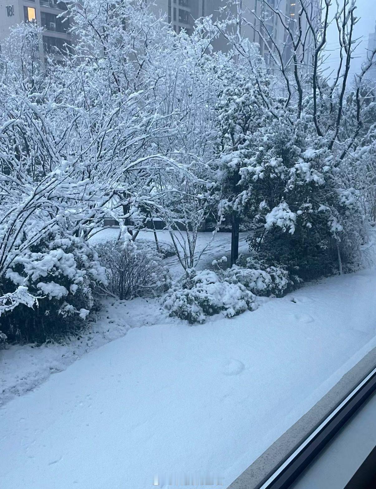 北京下雪太美了，我的朋友圈已经开始晒图了～ 