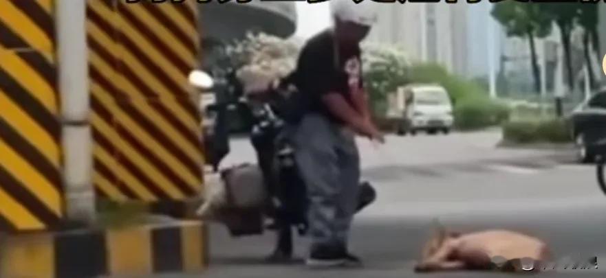 一位男子把一只狗狗拴在摩托车的后架上一直拖着，被一位好心阿姨呃制才停下来，不知拖