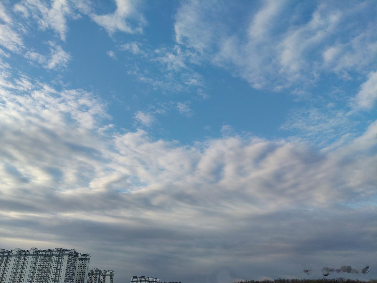 那云彩 是早晨醒来拉开窗帘所见。那花朵是小区桃树枝上的花蕾
你看那晨曦里的树和远