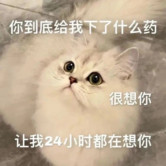 调戏男友的猫咪表情包来啦 ​​​