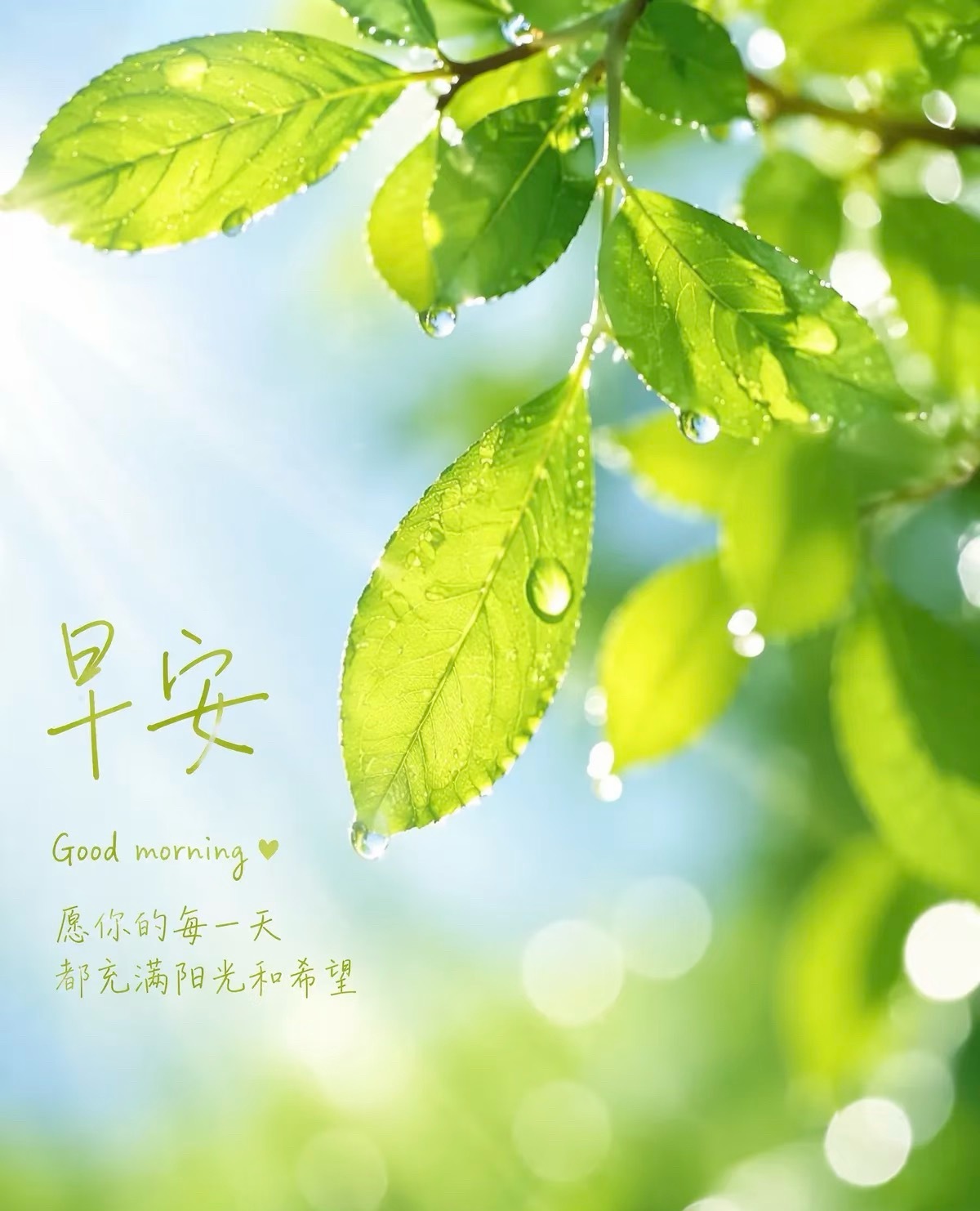 𝒢𝑜𝑜𝒹 𝓂𝑜𝓇𝓃𝒾𝓃𝑔𓂃𓈒𓏸你今天的心情，就是今天