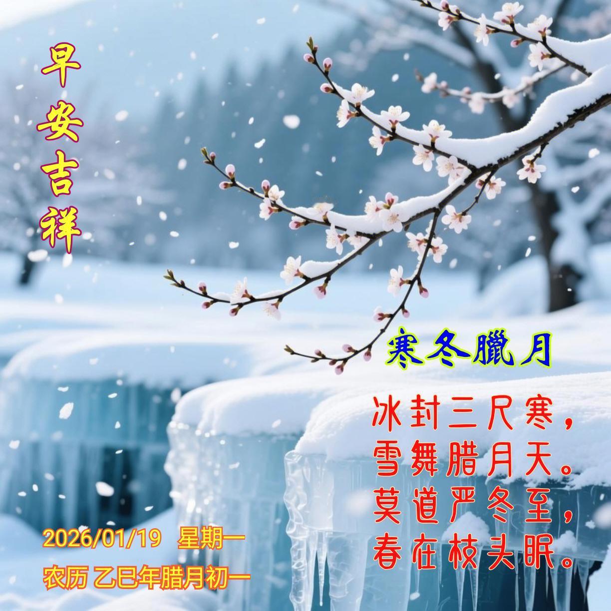 《寒冬腊月》
冰封三尺寒，
雪舞腊月天。
莫道严冬至，
春在枝头眠。
