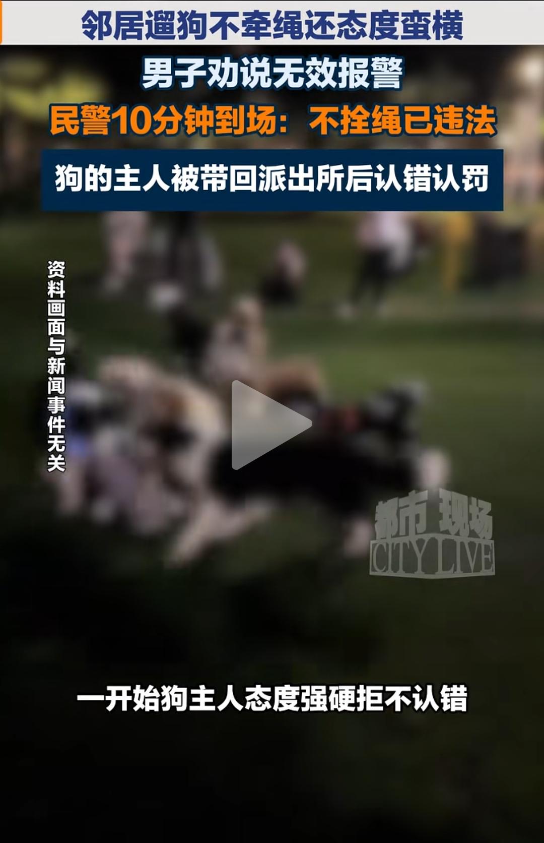 遛狗不牵绳还态度蛮横，民警到场后瞬间就老实了。

这事发生在江苏徐州。近日，一男