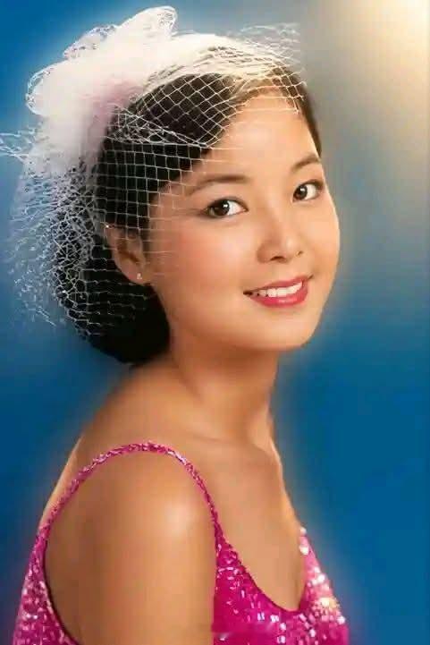 林煌坤《非常小说 谈邓丽君二三事》话说欧阳菲菲与陈美龄于1970年代初在日本歌坛