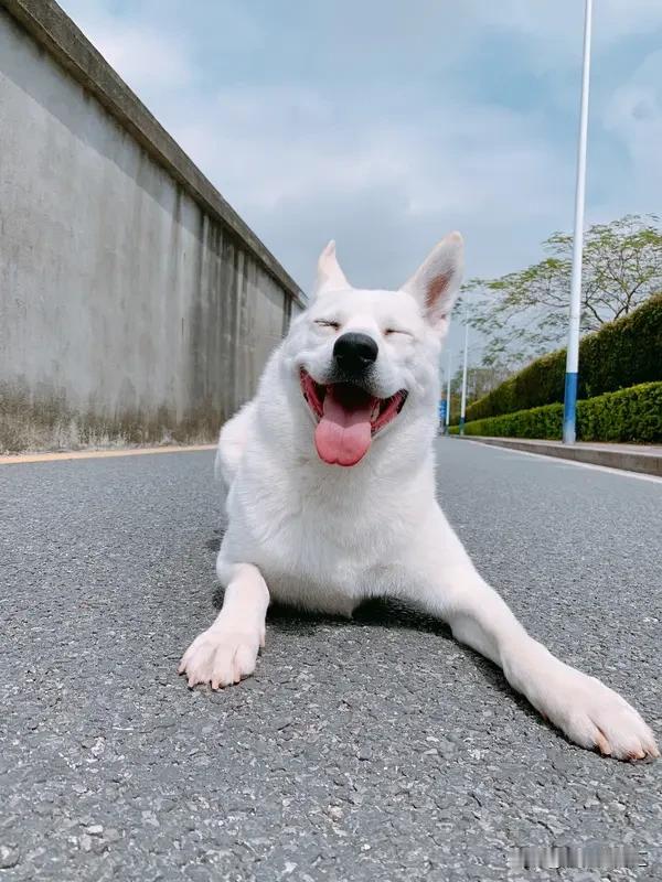 “为什么傻子比聪明人聪明”这话题乍一听很矛盾。传统观念里，智力测试中正常人得分高