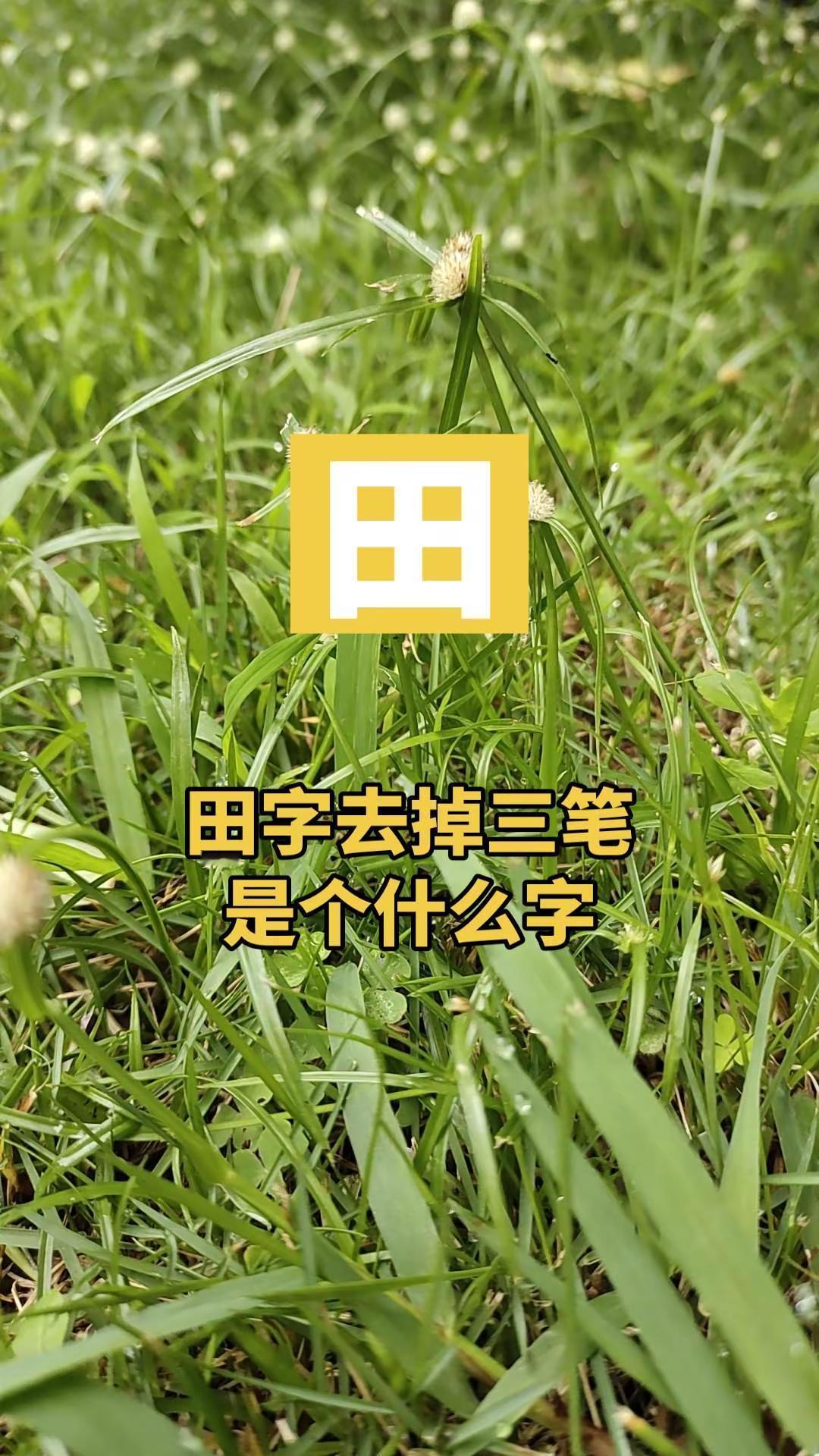 拍花也是一种自愈 猜字上热门涨知识