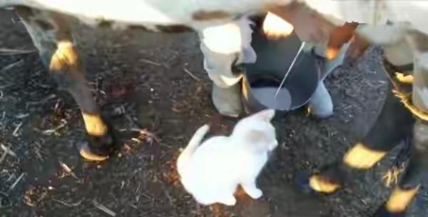 起床到底是先喝水还是先吃饭?