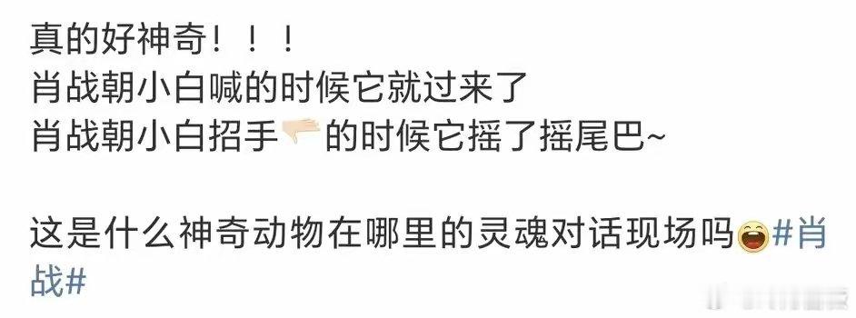 天使肖战藏不住了，继小猫、蝴蝶、羊驼、马之后，又被天鹅认出来了。天鹅居然对他摇尾