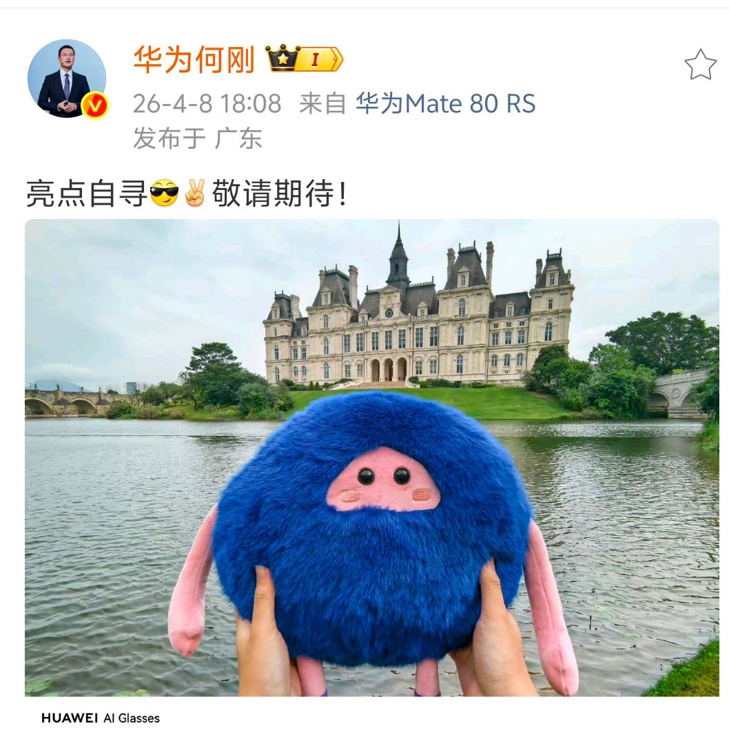 没等到余承东余总亲自送彩蛋，却刷到了何刚总在剧透4月20日的发布会彩蛋。
这不，