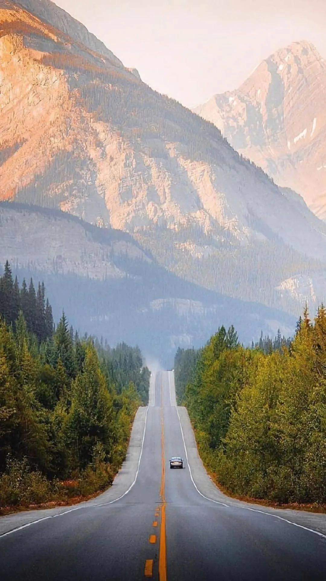 道家的道，我们怎么理解呢？就是大道，阳光的大路。就好像一个走路一样，你愿意走荆棘