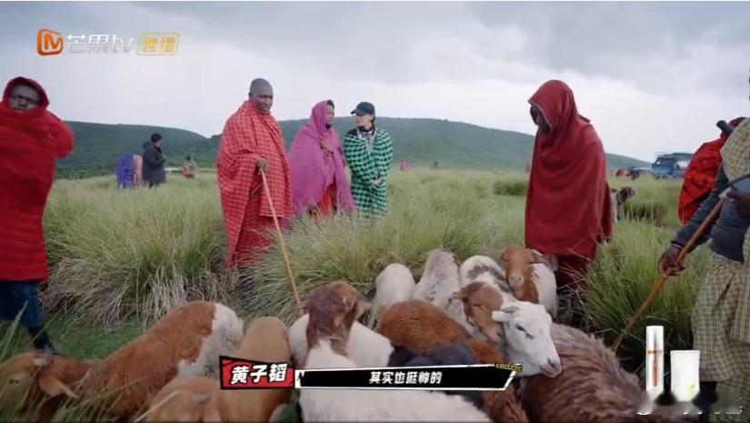 黄子韬买牛卡颜 家人们速来！黄子韬选牛时突然指着一头牛