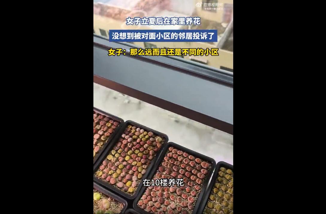 近日，一则业主因养花被对面小区集体投诉的话题引发全网热议。
事件争议并非居家养花
