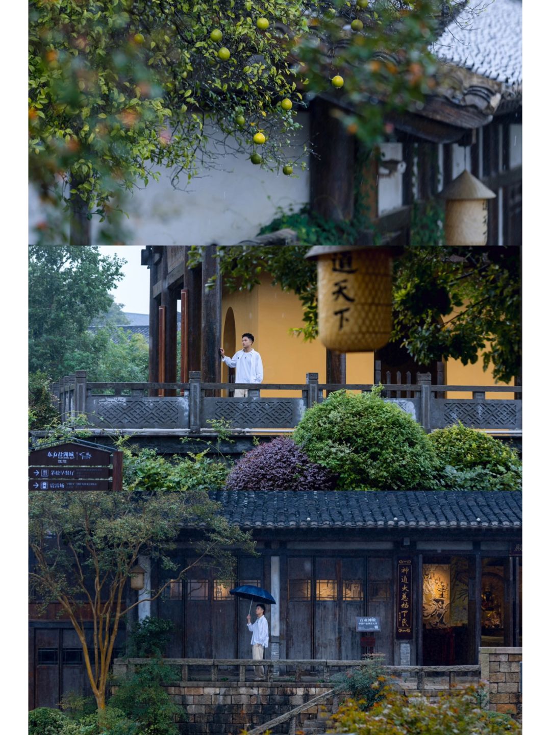 江浙沪周边🍃这座国风小镇圆了我的仙侠梦🏮