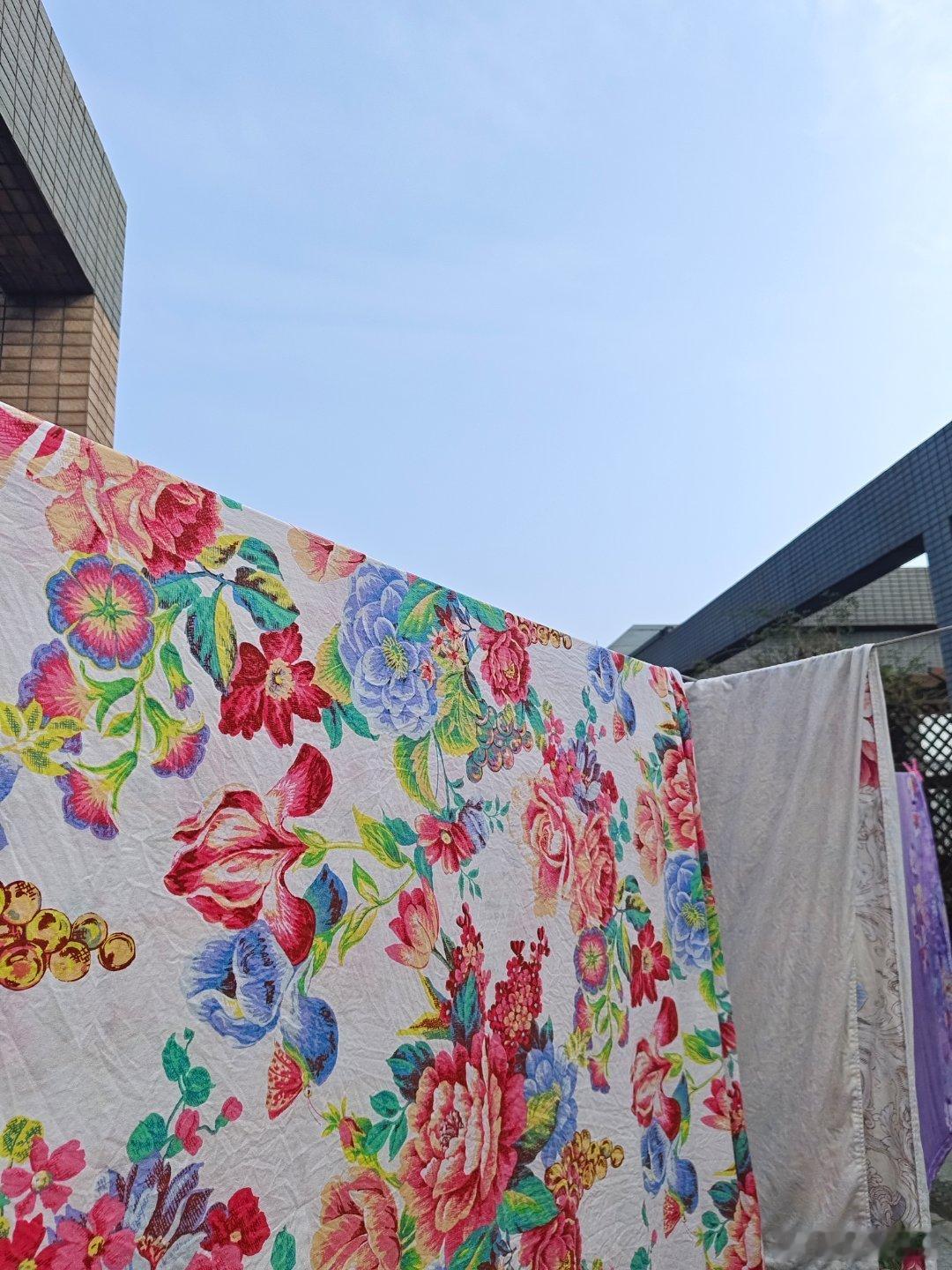 《废话2》又拨云见日，时间必须尽量留给太阳，废话又来了。七点多醒来，天没大亮，不