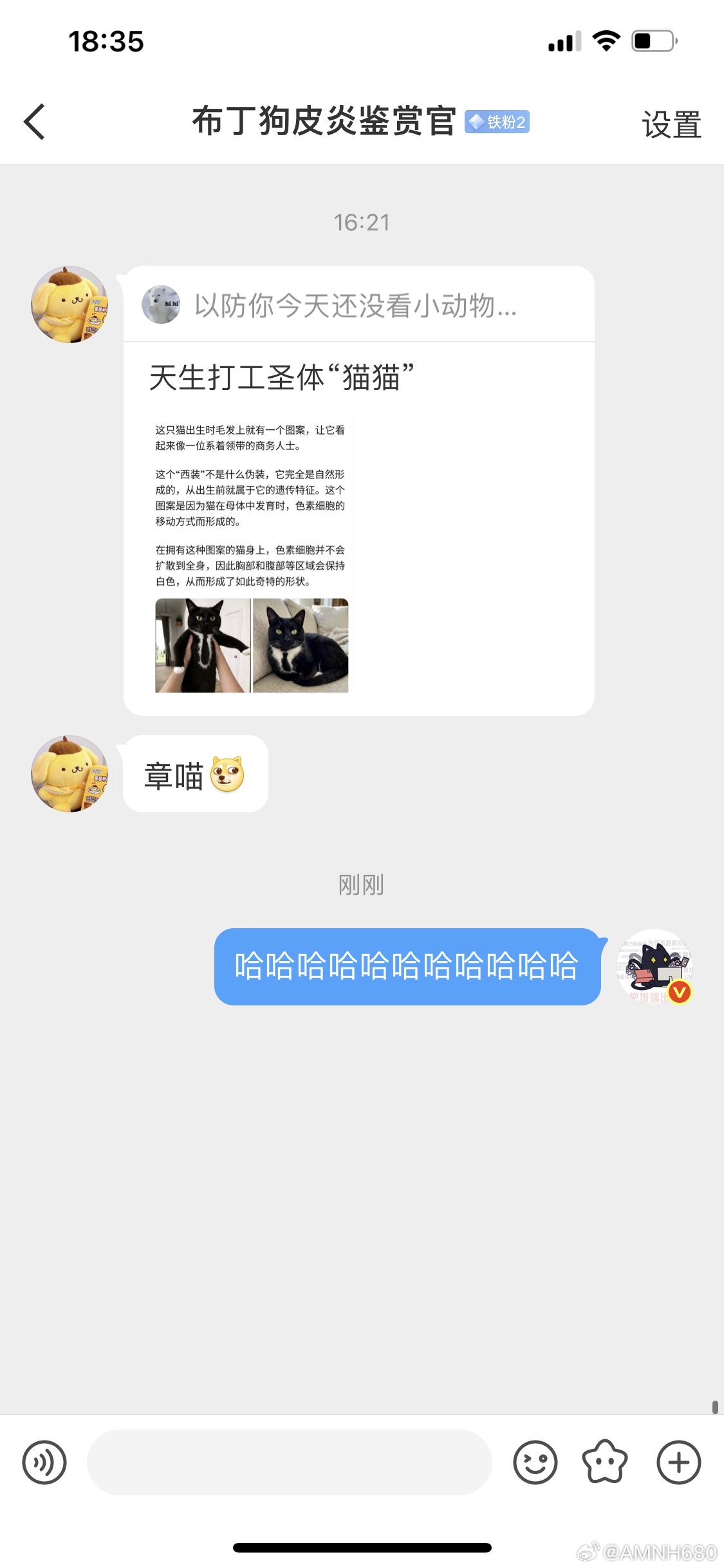 天选打工猫哈哈哈 