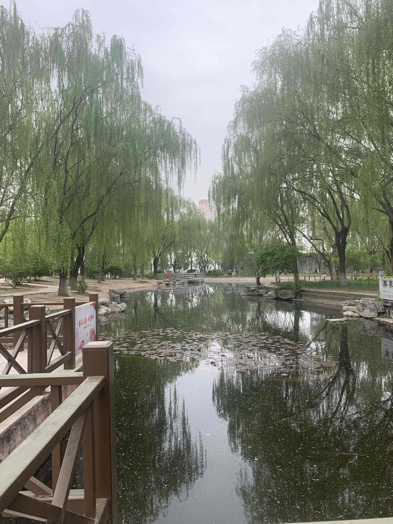 春日生活打卡季没想到家附近还有这么一个公园。里面基本都是退休的老人，干什么的都有