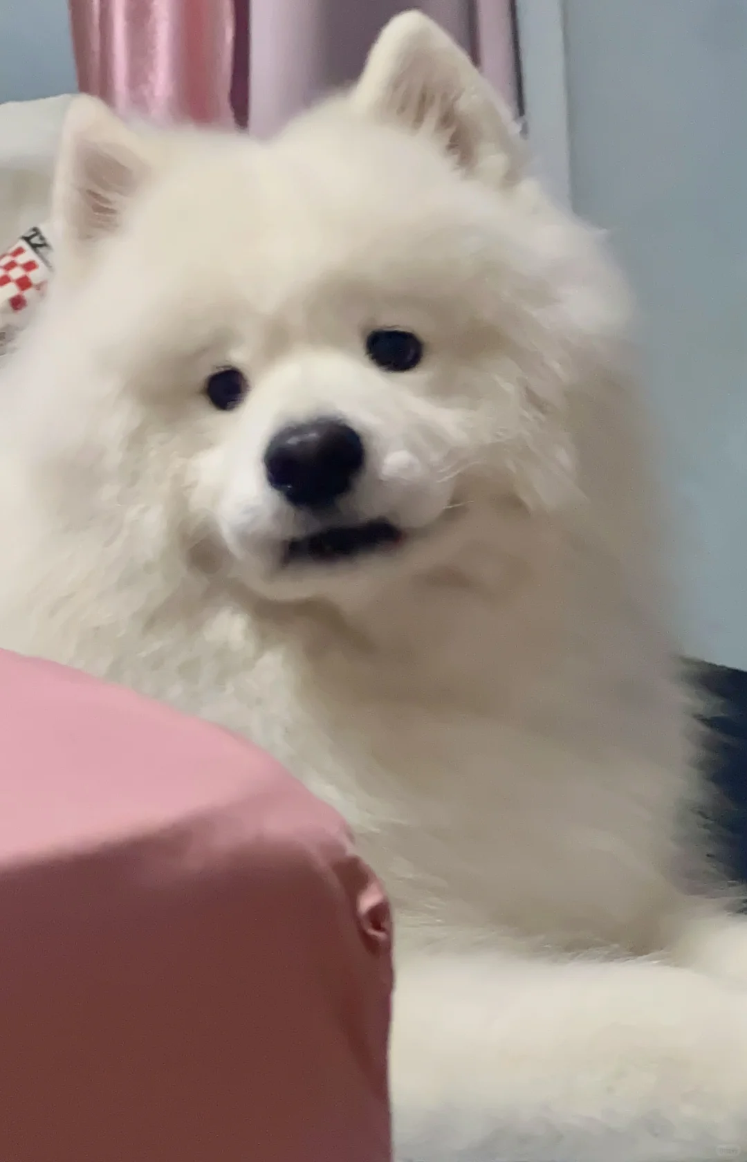 在线等！！！怎么哄！！！