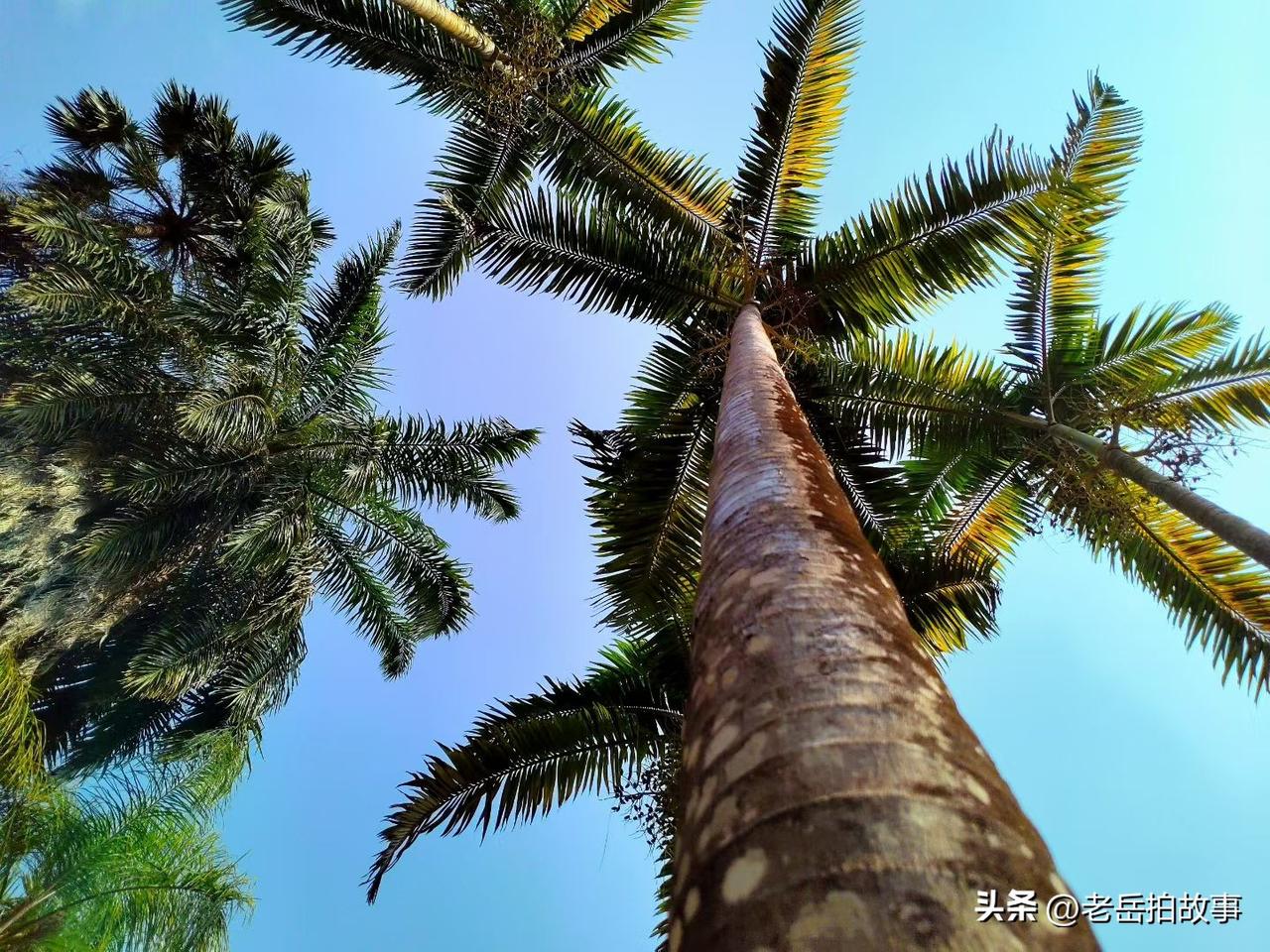 今天在外面听老年人聊天，其中一个老先生讲了一个他老家的诡异事情。他说他老家是农村