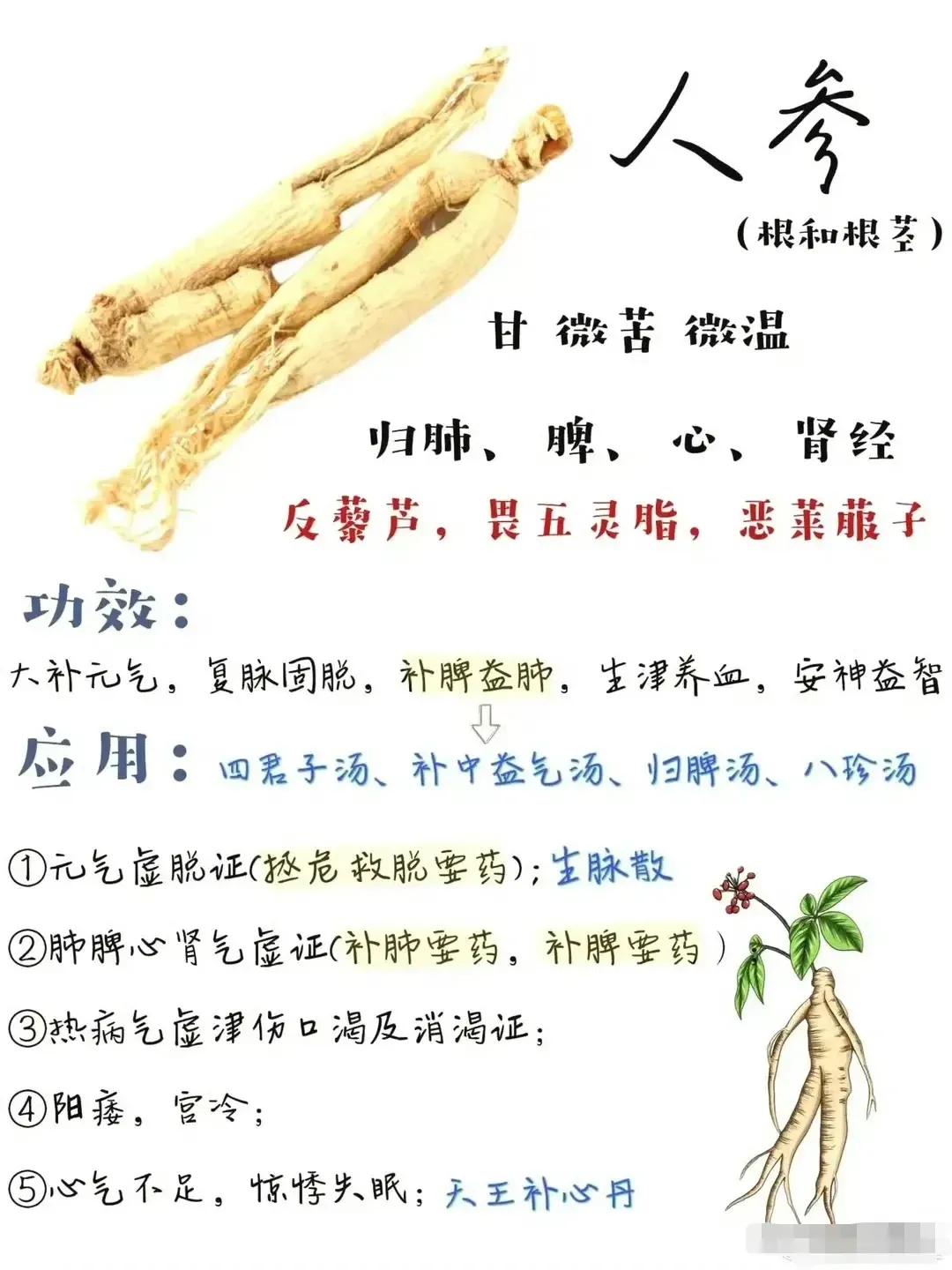 你是否经常感到身体乏力、精神不振？这可能是身体气虚的表现。今天，我们就来聊聊补气