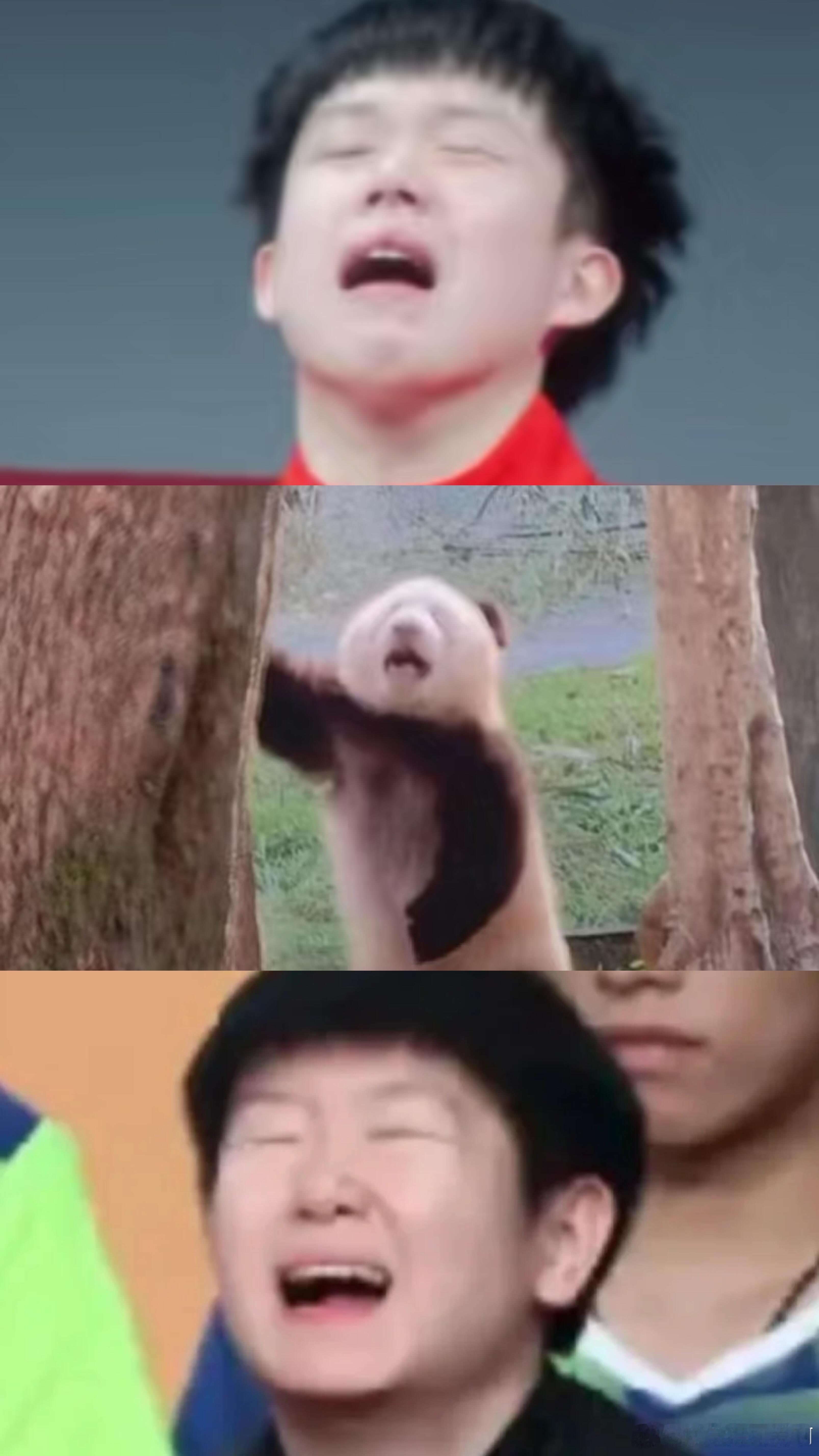 王楚钦孙颖莎莽小五，这么可爱的萌物居然有三个。 