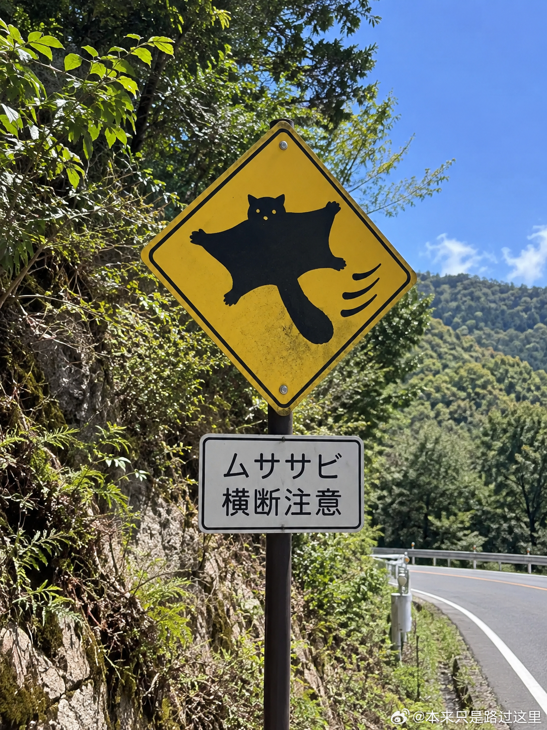 387 去日本旅游看见的，提示有野生动物[写作业] ​​​