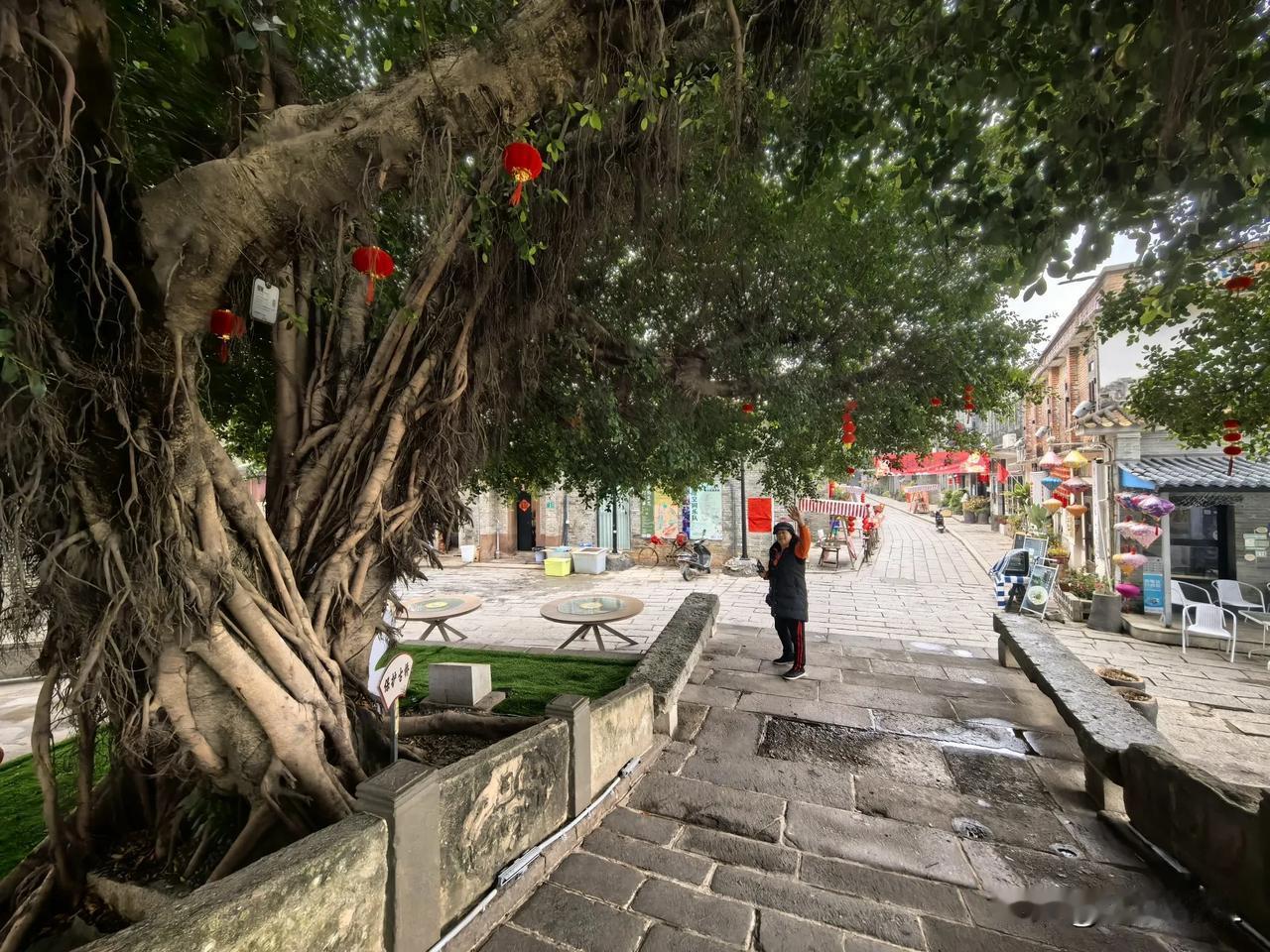 大岭村的贵州酸汤鱼
春日生活打卡季 
在历史名村大岭村龙津桥头，有一家挂着“非遗