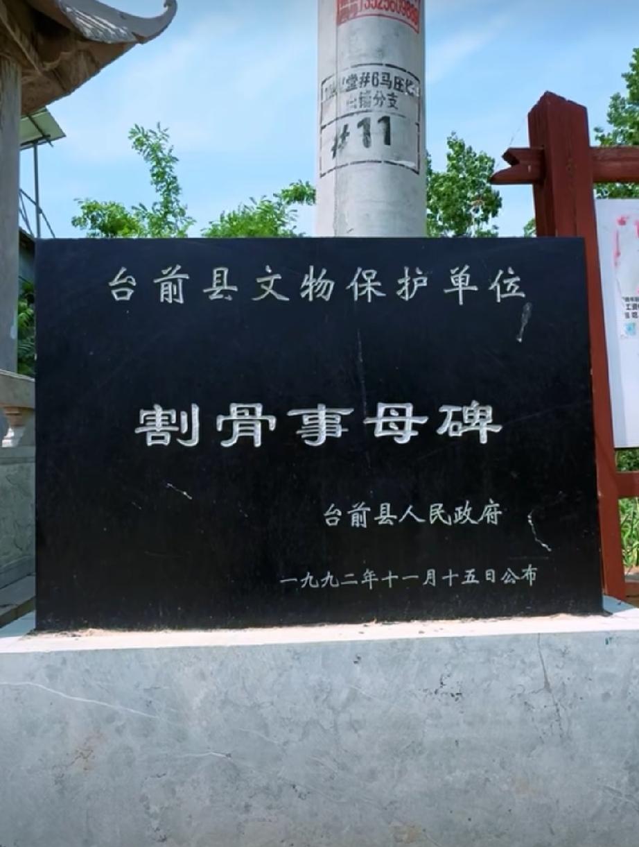 河南省濮阳市台前县夹河乡白铺村割骨事母碑

1. 基本概况与位置‌
‌具体位置‌