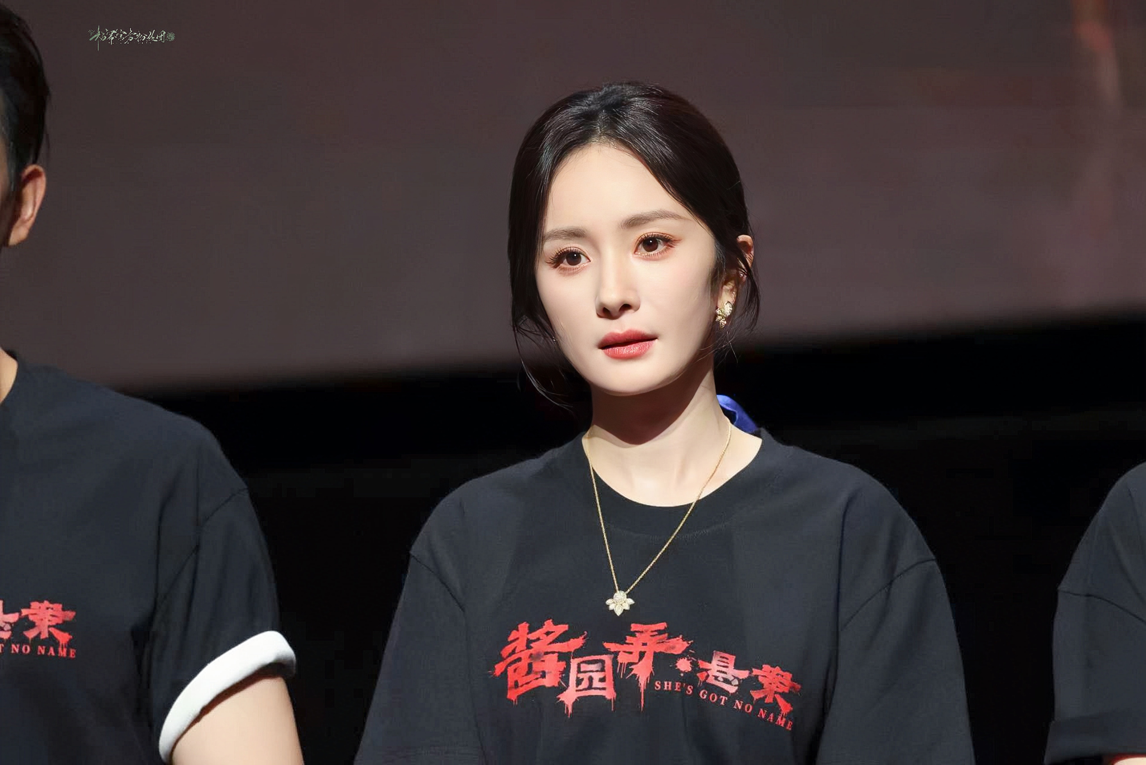 杨幂又在红毯搞抽象ym章子怡杨幂倪妮红毯生图【2025.6.14｜上海《酱园弄·