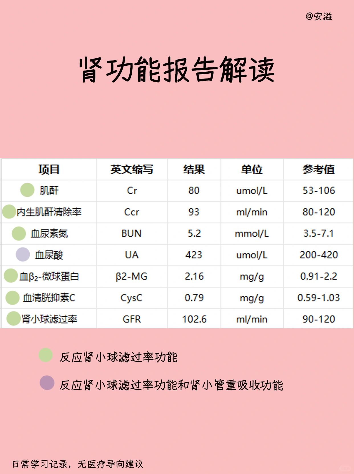 边画画边学医‖普通人也能读懂肾功能报告