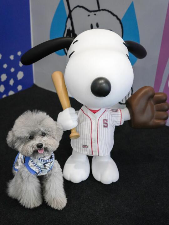 深圳带小狗逛史努比展