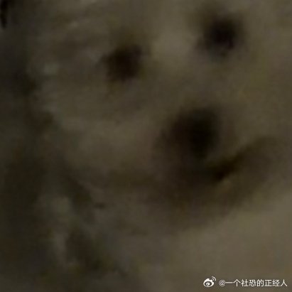 日行一善‎日行一善每日一善阳光信用日行一善 你好一起保护大自然与社会携手做公益关