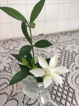 霜月热玩科技