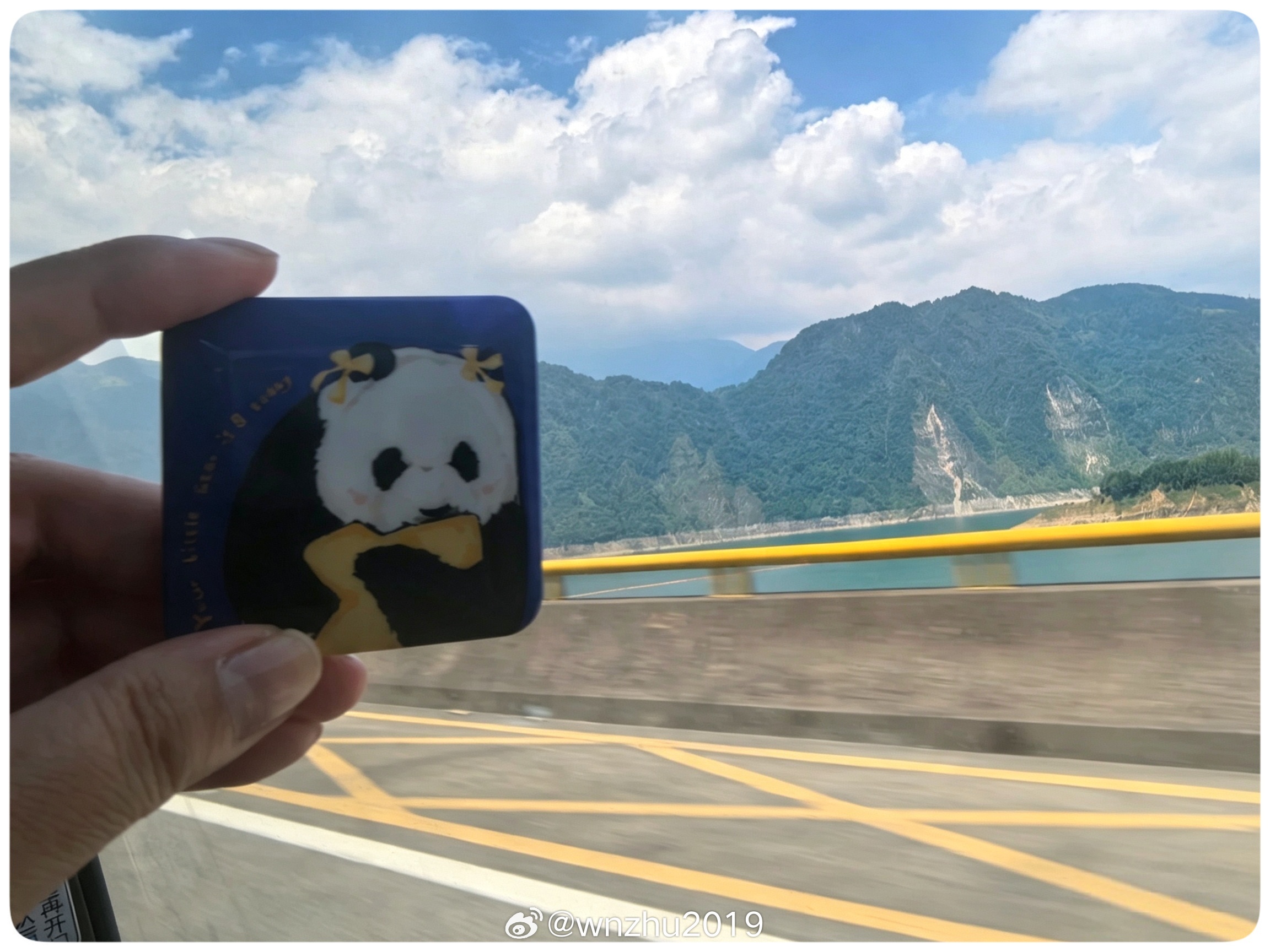 大熊猫胖大海 带海海回四川看看 