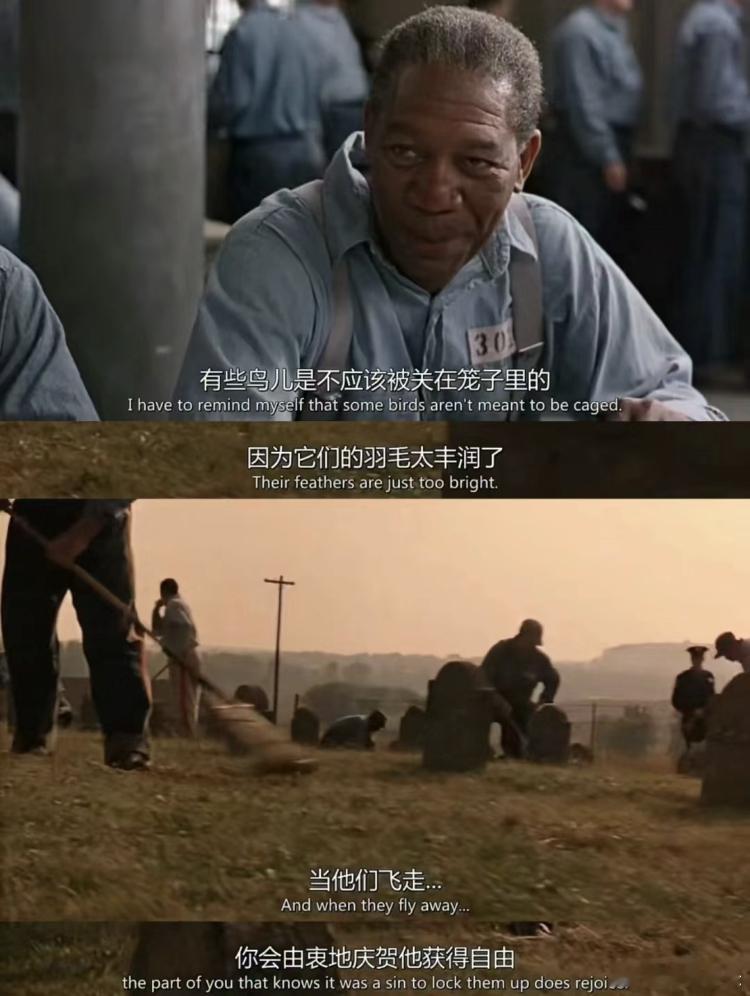 成年人的叛逆时刻你永远无法预料，成年人的叛逆会在什么时间到来，又会以怎样的形式呈
