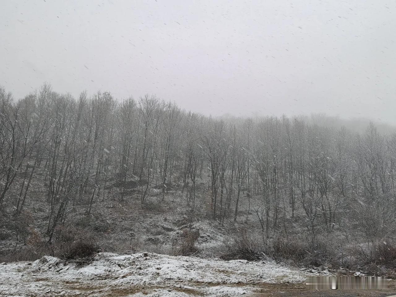 这算2024的还是2025年的？