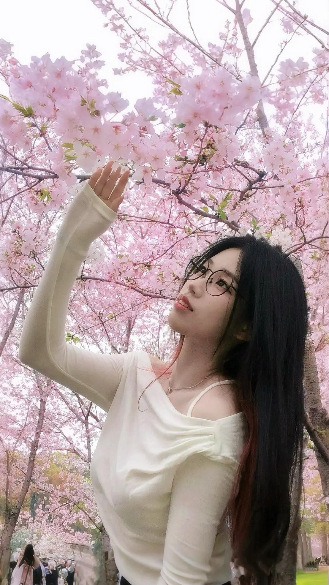 樱花树下谁站du美。去世纪公园拍樱花啦