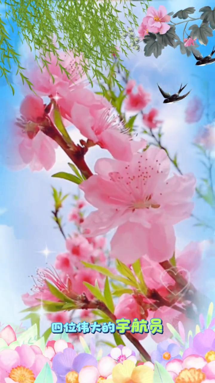 很多媒体可以说现在是完全没有职业操守的。阿尔忒弥斯升空是全人类的壮举，这可以说是