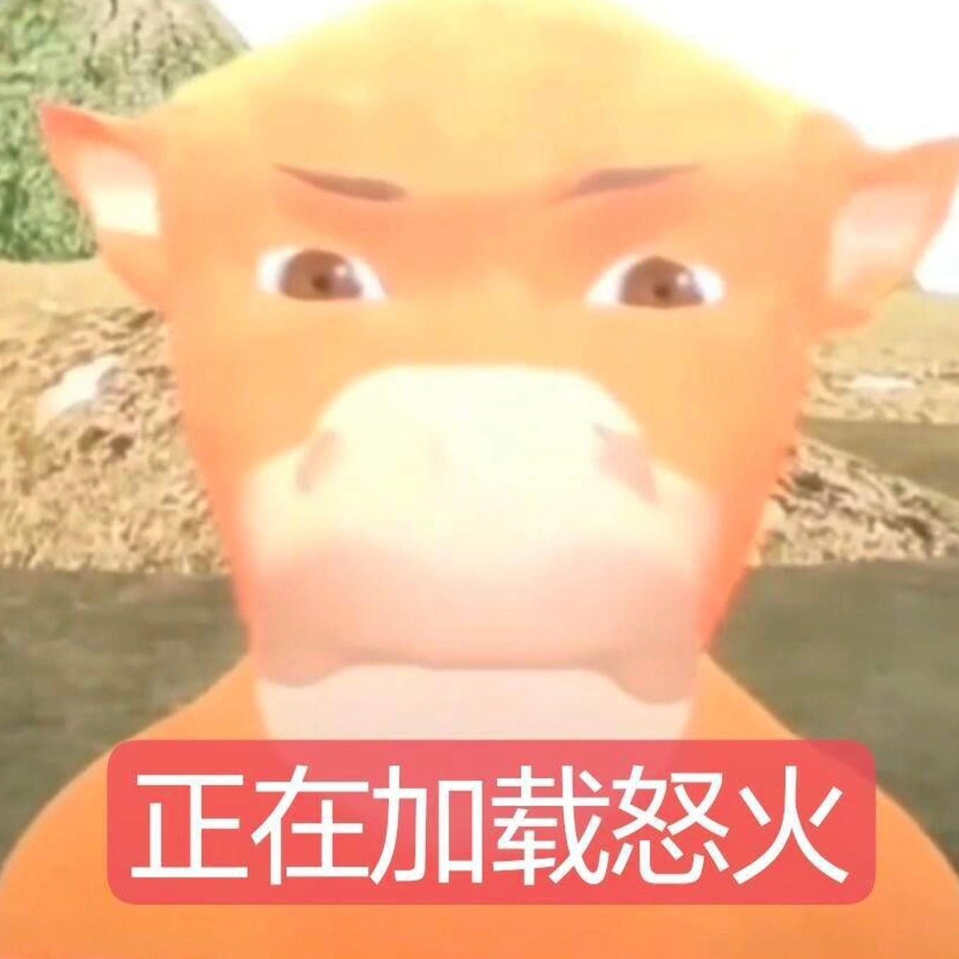 这期是谁要的🐮牛来表情包😀 