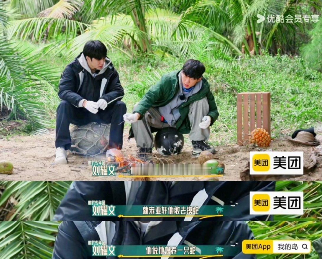 #刘耀文爆料宋亚轩想养蛇#宋亚轩胆子也太大了吧，竟然想养蛇，他好像对各种异宠都很
