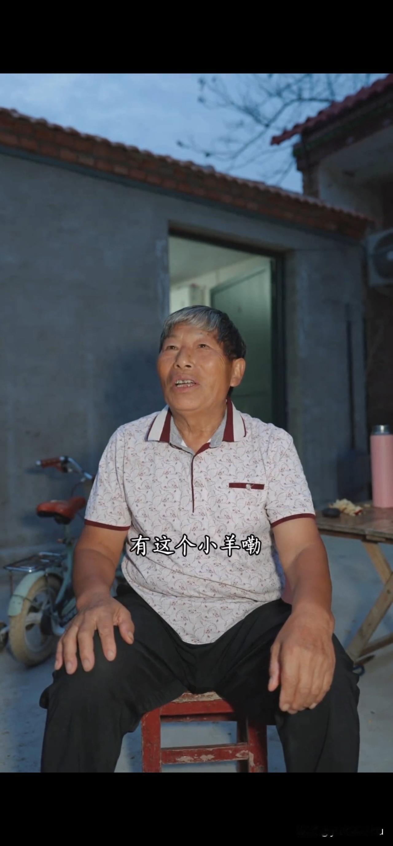 树兰想表达的意思是：一头羊是放，两头羊也是放，吃饱就妥了，把育儿说的如此简单