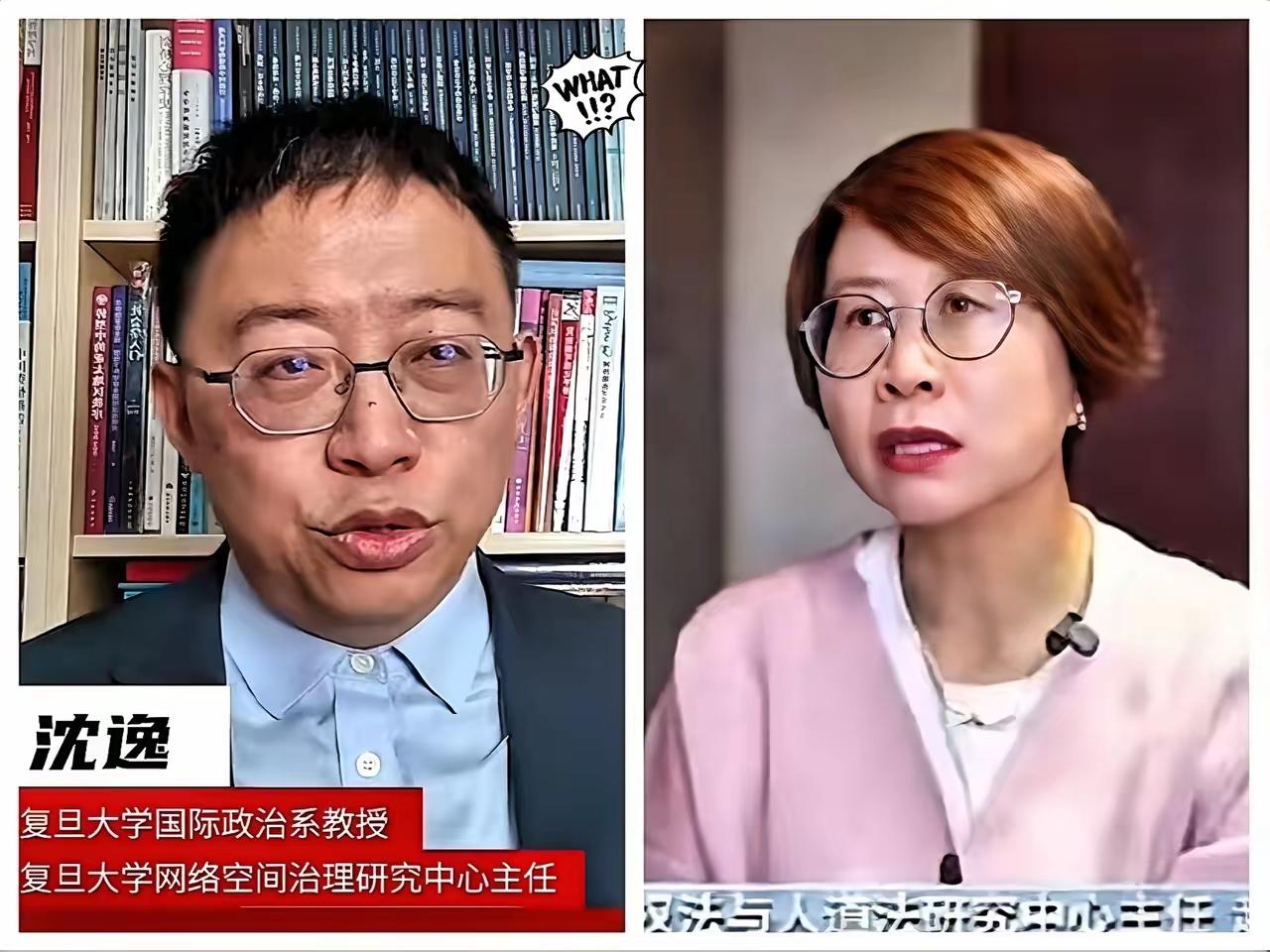 赵宏分明是外国资本的代言人，而沈逸教授才是真正的中国知识分子。
       如