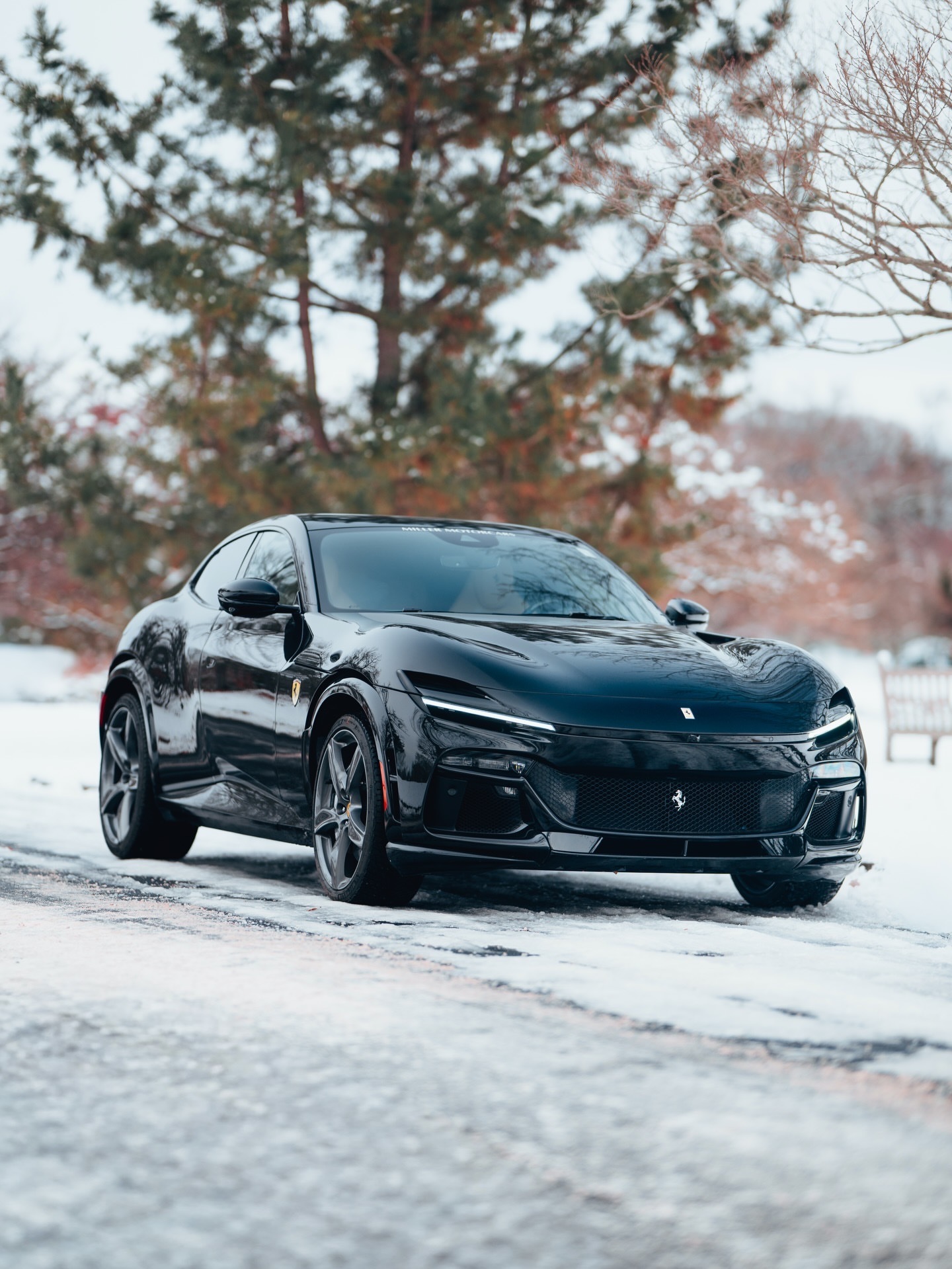 V12引擎+四轮驱动+雪地轮胎这是一组无与伦比的组合..purosangue豪车