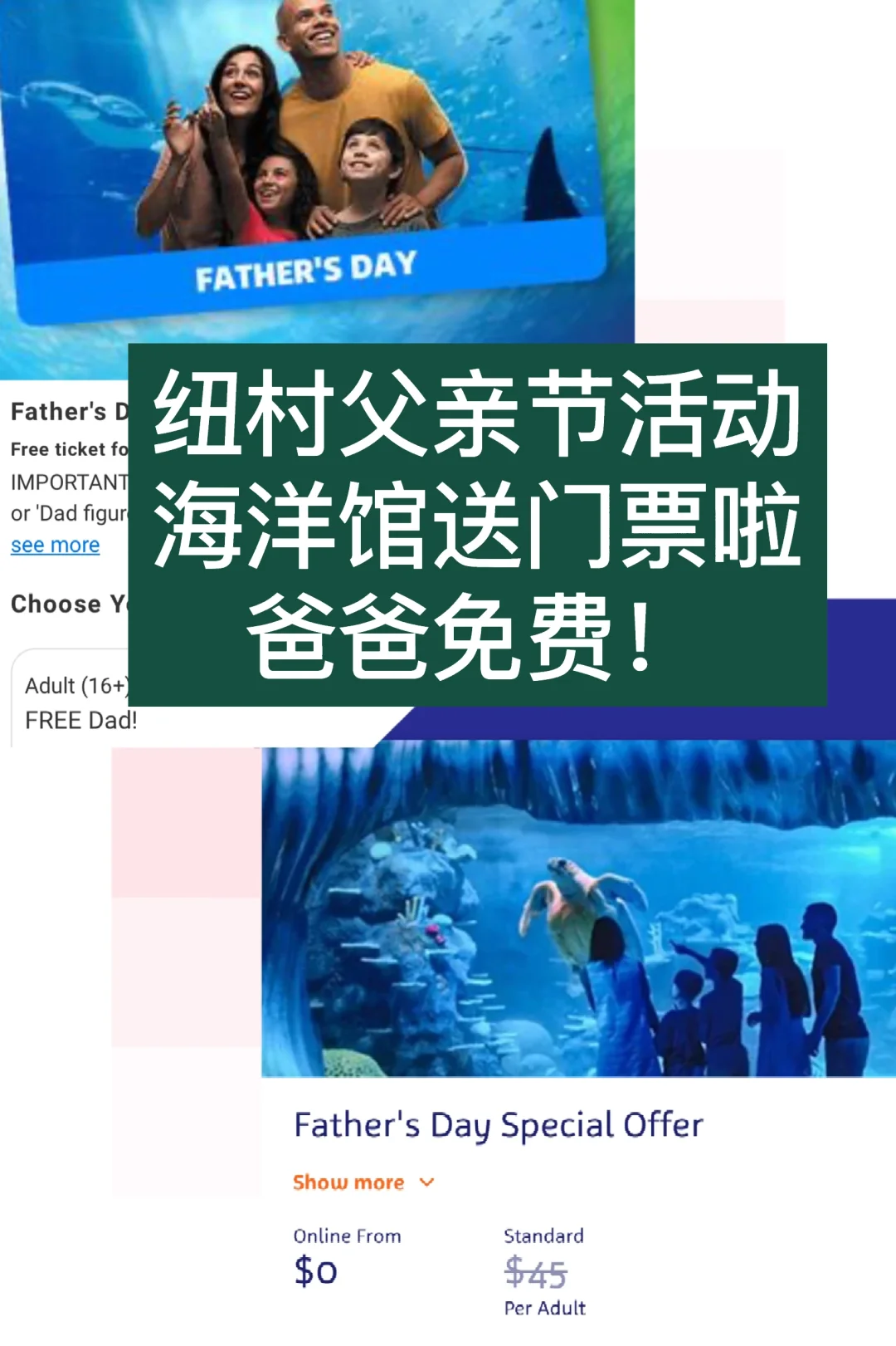 🇳🇿纽村父亲节 海洋馆送门票 爸爸带娃走起