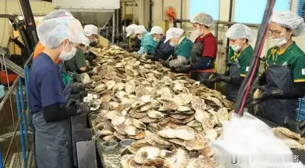 虽然咱们国家早就全面叫停了日本水产品进口，但不少日本在华企业压根没死心，玩起了“