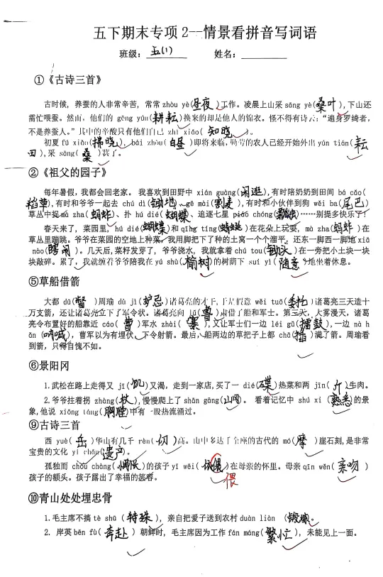 五下语文期末复习专项2—根据情景写词语