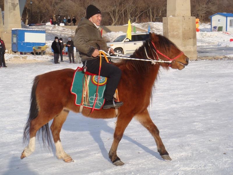 近日，游客坐东北马拉爬犁的视频火了。画面里，游客迎着寒风在雪地飞驰，几分钟就成了