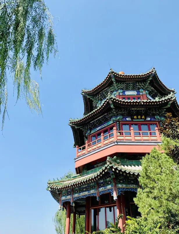 庆云楼老板娘这波操作简直神了！黄仁勋逛北京，硬是被她“截胡”进店吃烤鸭。老板娘那