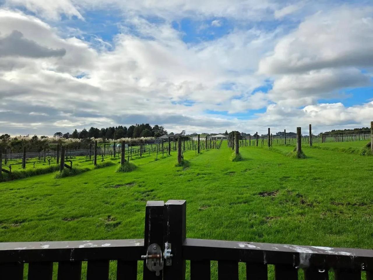 上联：冰天雪地送冬去，请您来下联山野细雨伴春生/花海和风迎燕归/柳岸新莺啼晓来。